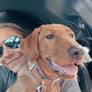 Fundraising Page: Cindy Brackemeyer